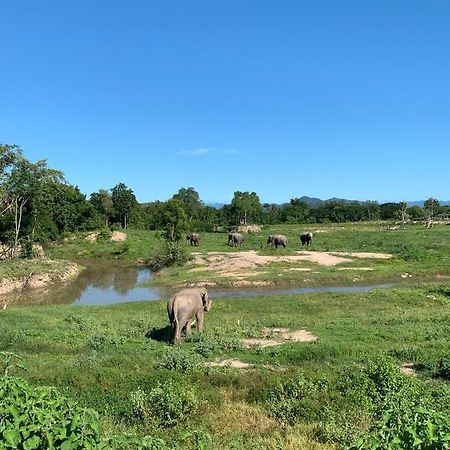 I Love Phants Lodge Ban Huai Thawai Ngoại thất bức ảnh