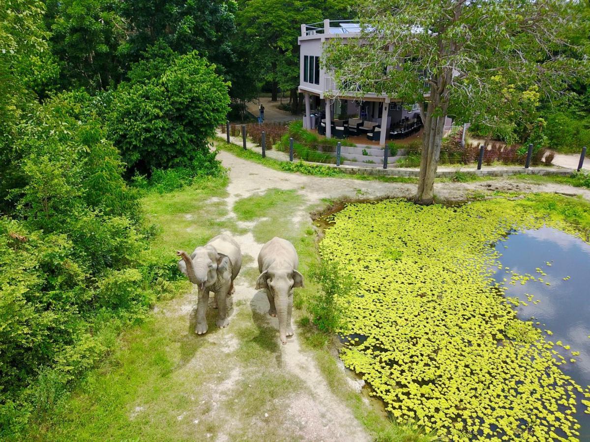 I Love Phants Lodge Ban Huai Thawai Ngoại thất bức ảnh