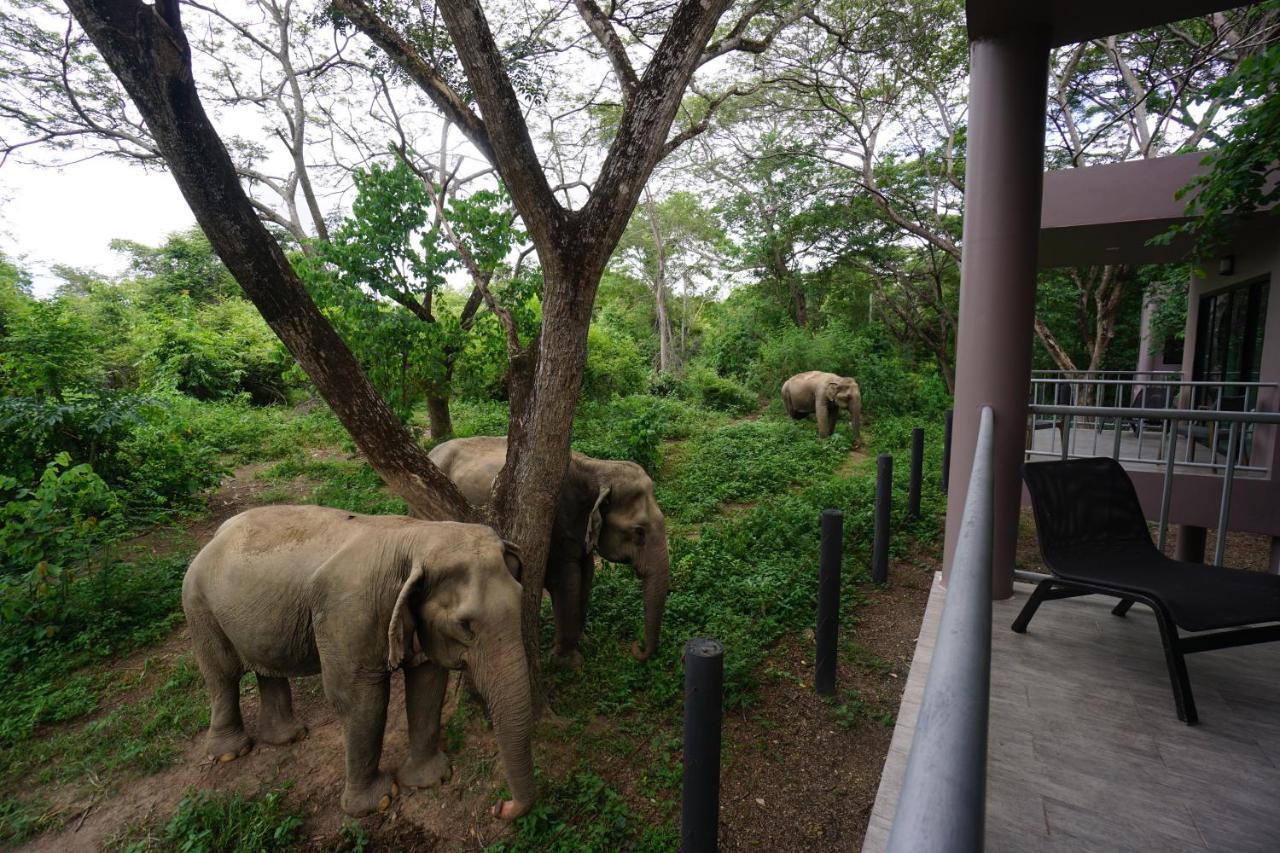 I Love Phants Lodge Ban Huai Thawai Ngoại thất bức ảnh