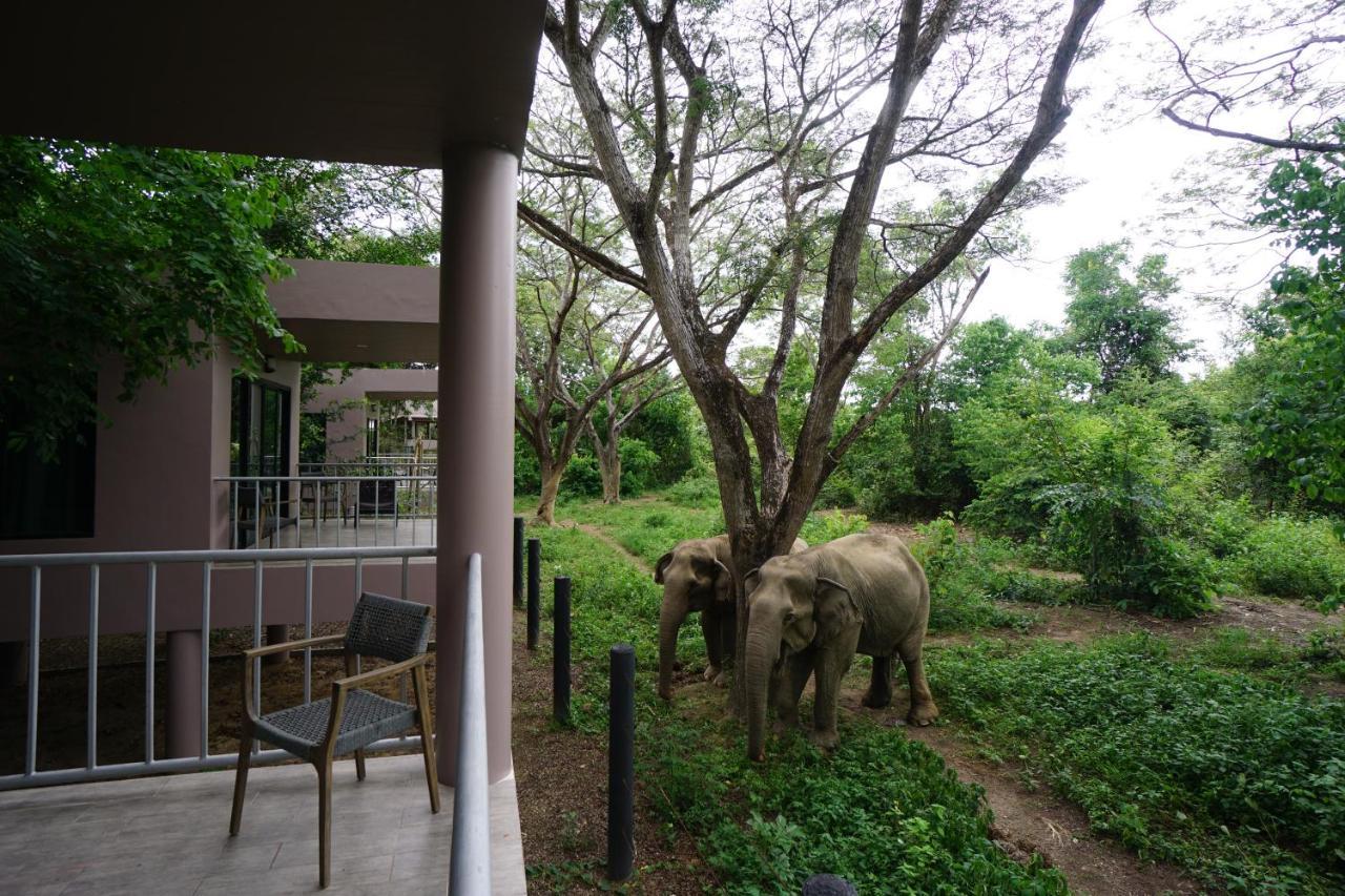 I Love Phants Lodge Ban Huai Thawai Ngoại thất bức ảnh