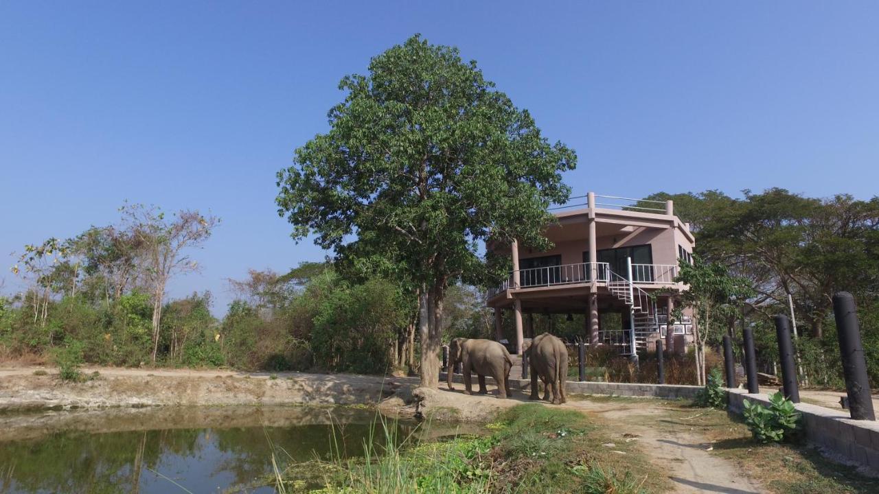 I Love Phants Lodge Ban Huai Thawai Ngoại thất bức ảnh