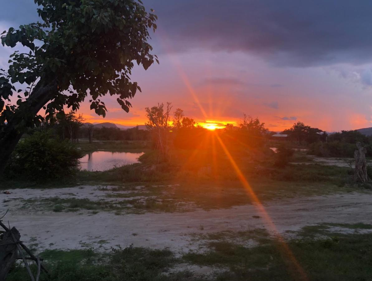 I Love Phants Lodge Ban Huai Thawai Ngoại thất bức ảnh