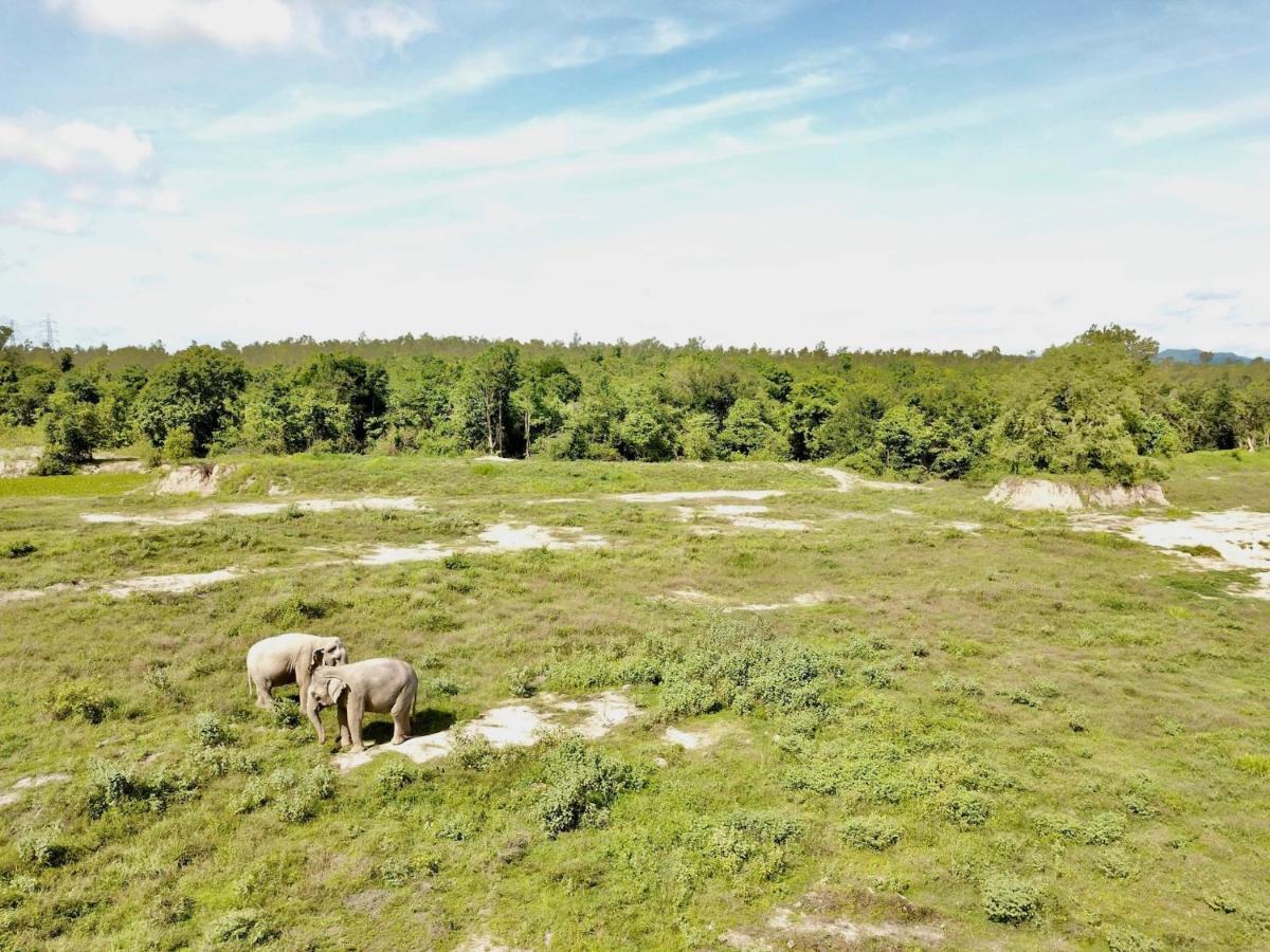 I Love Phants Lodge Ban Huai Thawai Ngoại thất bức ảnh