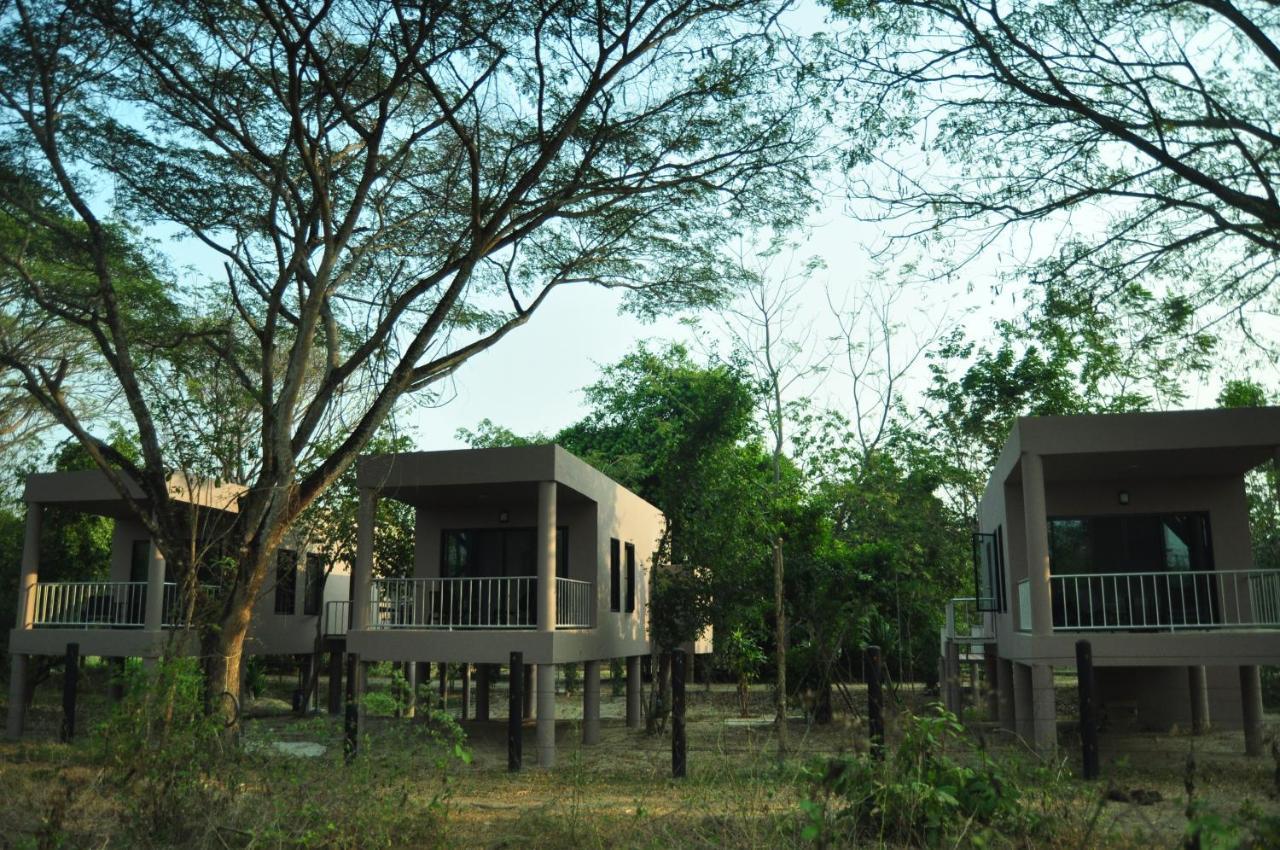 I Love Phants Lodge Ban Huai Thawai Ngoại thất bức ảnh