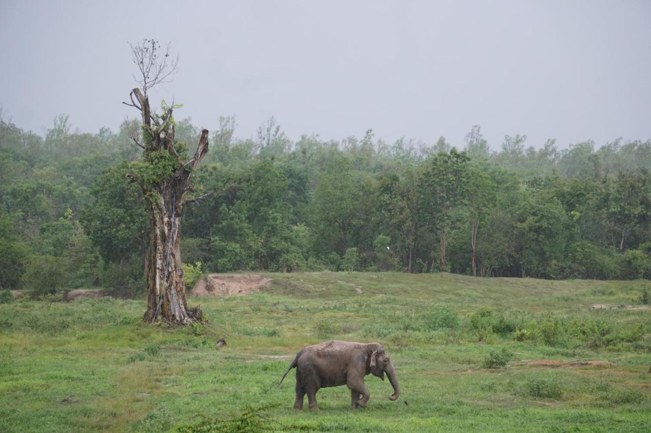 I Love Phants Lodge Ban Huai Thawai Ngoại thất bức ảnh