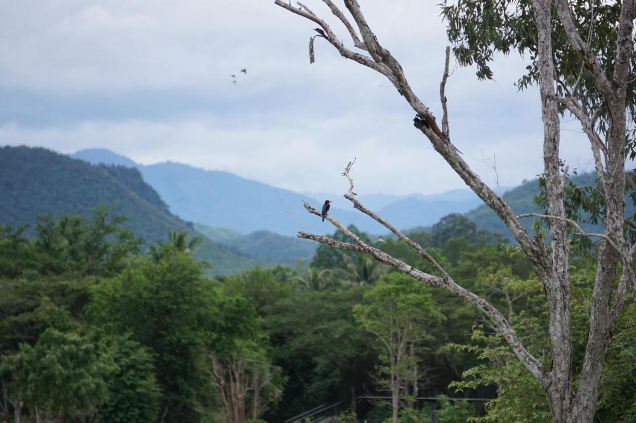 I Love Phants Lodge Ban Huai Thawai Ngoại thất bức ảnh