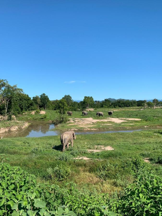 I Love Phants Lodge Ban Huai Thawai Ngoại thất bức ảnh