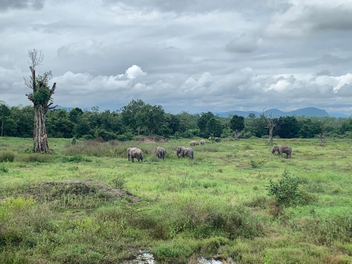 I Love Phants Lodge Ban Huai Thawai Ngoại thất bức ảnh